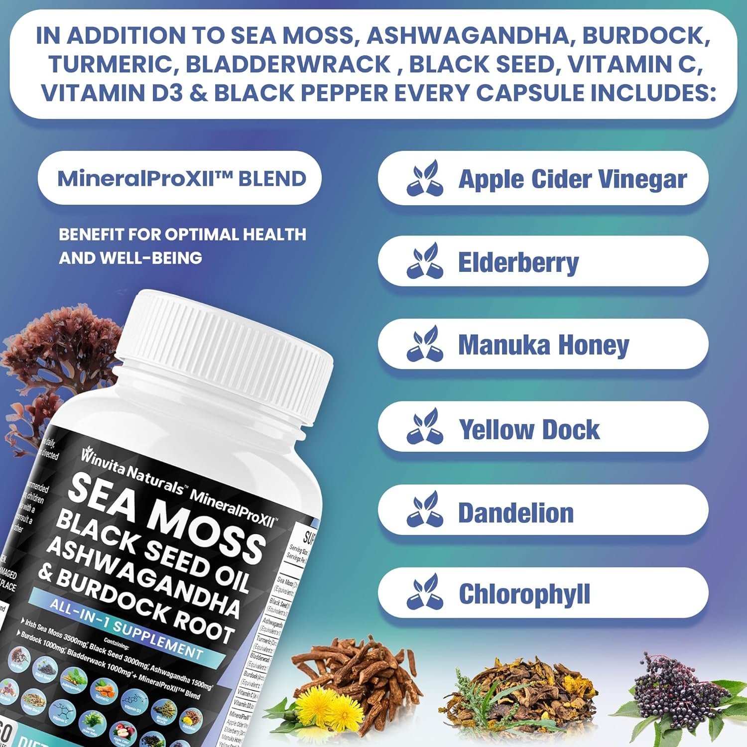 Sea Moss 3500mg Black Seed Oil 3000mg Ashwagandha 1500mg Turmeric 1000mg Bladderwrack 1000mg Burdock 1000mg Review